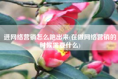 进网络营销怎么跑出来(在做网络营销的时候需要什么)