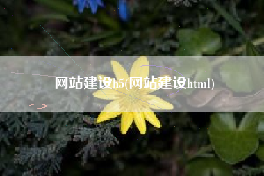 网站建设h5(网站建设html)