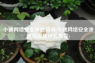 小迪网络安全渗透培训(小迪网络安全渗透培训是什么内容)