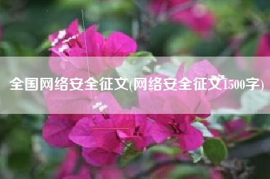 全国网络安全征文(网络安全征文1500字)