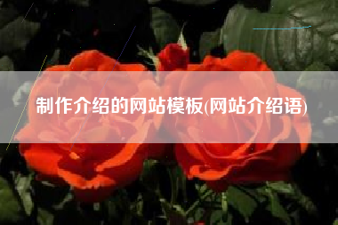 制作介绍的网站模板(网站介绍语)
