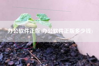办公软件正版(办公软件正版多少钱)