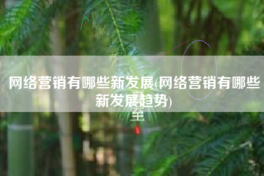 网络营销有哪些新发展(网络营销有哪些新发展趋势)