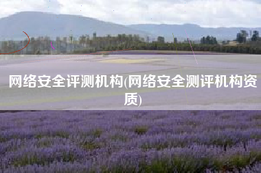 网络安全评测机构(网络安全测评机构资质)