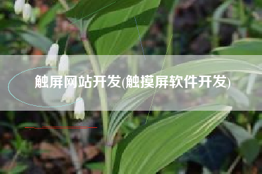 触屏网站开发(触摸屏软件开发)