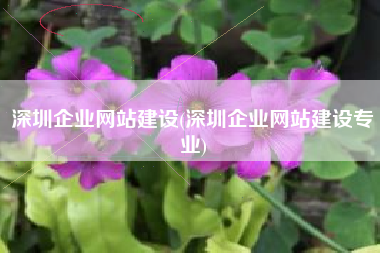 深圳企业网站建设(深圳企业网站建设专业)