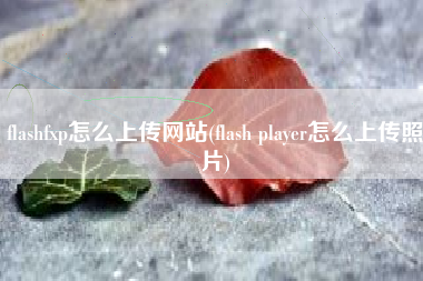 flashfxp怎么上传网站(flash player怎么上传照片)