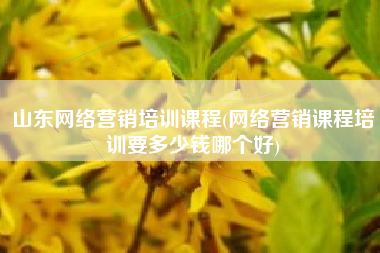 山东网络营销培训课程(网络营销课程培训要多少钱哪个好)