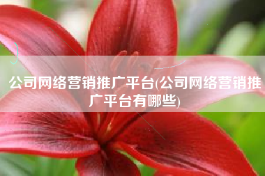 公司网络营销推广平台(公司网络营销推广平台有哪些)