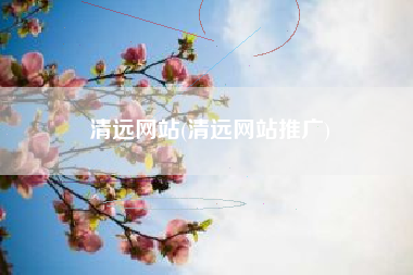 清远网站(清远网站推广)