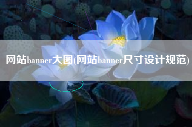 网站banner大图(网站banner尺寸设计规范)