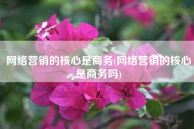 网络营销的核心是商务(网络营销的核心是商务吗)