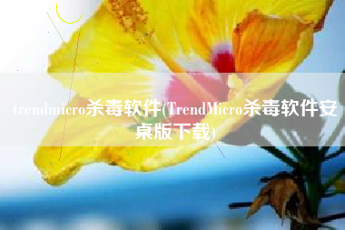trendmicro杀毒软件(TrendMicro杀毒软件安桌版下载)