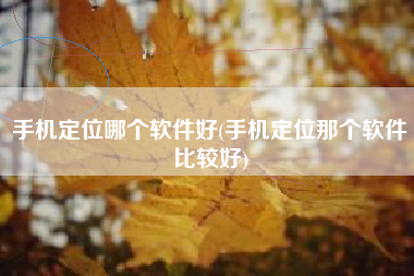 手机定位哪个软件好(手机定位那个软件比较好)
