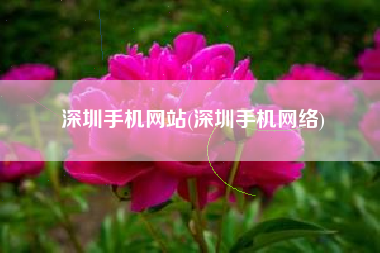 深圳手机网站(深圳手机网络)