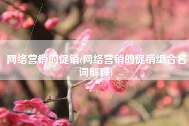 网络营销的促销(网络营销的促销组合名词解释)