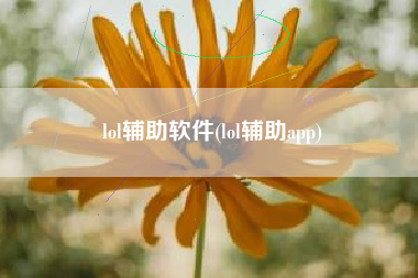 lol辅助软件(lol辅助app)