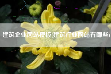 建筑企业网站模板(建筑行业网站有哪些)