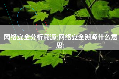 网络安全分析溯源(网络安全溯源什么意思)