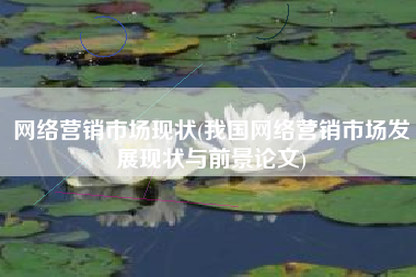 网络营销市场现状(我国网络营销市场发展现状与前景论文)