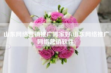 山东网络营销推广哪家好(山东网络推广网络营销软件)