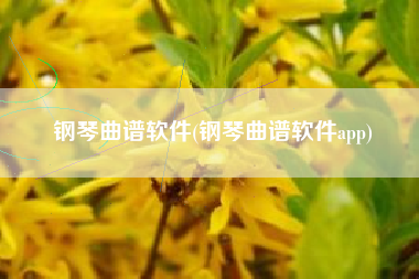 钢琴曲谱软件(钢琴曲谱软件app)