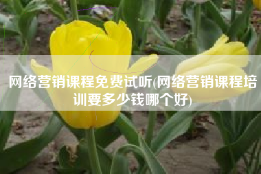 网络营销课程免费试听(网络营销课程培训要多少钱哪个好)