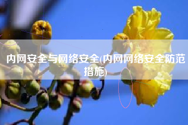内网安全与网络安全(内网网络安全防范措施)