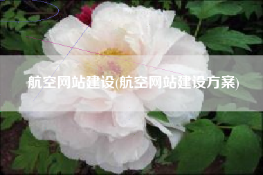 航空网站建设(航空网站建设方案)
