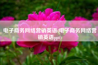 电子商务网络营销英语(电子商务网络营销英语ppt)