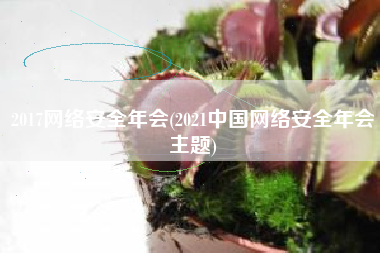 2017网络安全年会(2021中国网络安全年会主题)