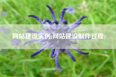 网站建设实例(网站建设制作过程)