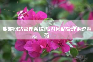 旅游网站管理系统(旅游网站管理系统源码)