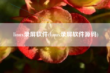linux录屏软件(linux录屏软件源码)