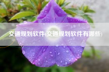 交通规划软件(交通规划软件有哪些)