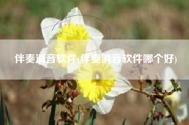 伴奏消音软件(伴奏消音软件哪个好)