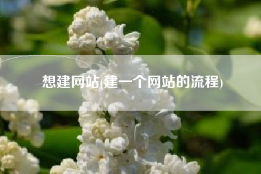 想建网站(建一个网站的流程)