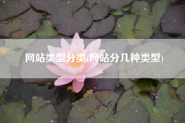 网站类型分类(网站分几种类型)