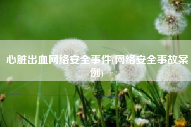 心脏出血网络安全事件(网络安全事故案例)