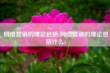 网络营销的理论包括(网络营销的理论包括什么)