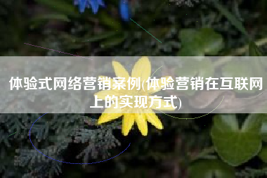 体验式网络营销案例(体验营销在互联网上的实现方式)