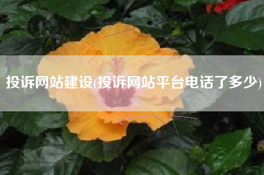 投诉网站建设(投诉网站平台电话了多少)