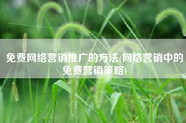 免费网络营销推广的方法(网络营销中的免费营销策略)