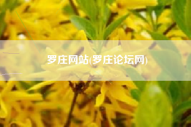 罗庄网站(罗庄论坛网)