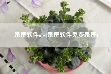 录屏软件obs(录屏软件免费录屏)