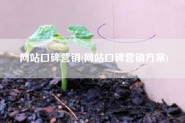 网站口碑营销(网站口碑营销方案)