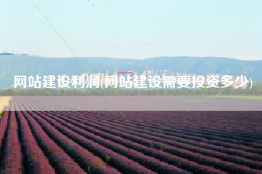 网站建设利润(网站建设需要投资多少)