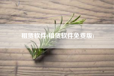 租赁软件(租赁软件免费版)