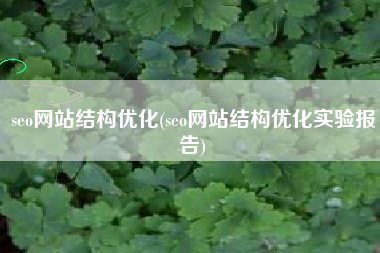 seo网站结构优化(seo网站结构优化实验报告)