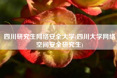 四川研究生网络安全大学(四川大学网络空间安全研究生)